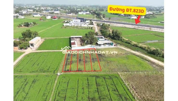 CẦN BÁN GẤP 5 LÔ ĐẤT NỀN XÃ ĐỨC HÒA, LONG AN – NGAY TRỤC ĐT.823D